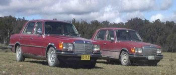 2 deviates front.jpg