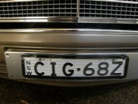 300SE centered plate (2).jpg