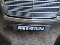 New plate straight on.jpg