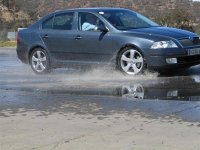 IMG_7511Large.jpg