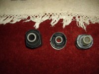 Frontlowerarmbushes3.jpg Frontlowerarmbushes3.jpg