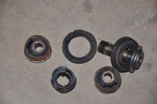 Rightlowerarmbushes.jpg Rightlowerarmbushes.jpg
