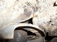 CIMG6503.jpg CIMG6503.jpg