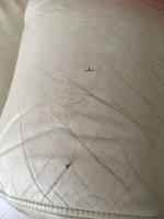 minor%20tears_zpsyk5hst4f.jpg minor%20tears_zpsyk5hst4f.jpg