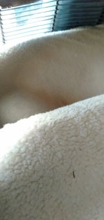 IMG20230803120651.jpg