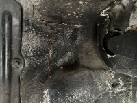 IMG_0271.jpeg