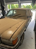 IMG_3593.jpeg