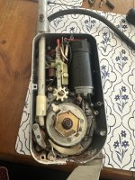 IMG_6681.jpeg