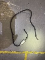 IMG_7325.jpeg