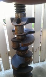 IMAG0513.jpg