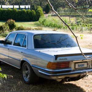 6_6.9AMG4.jpg