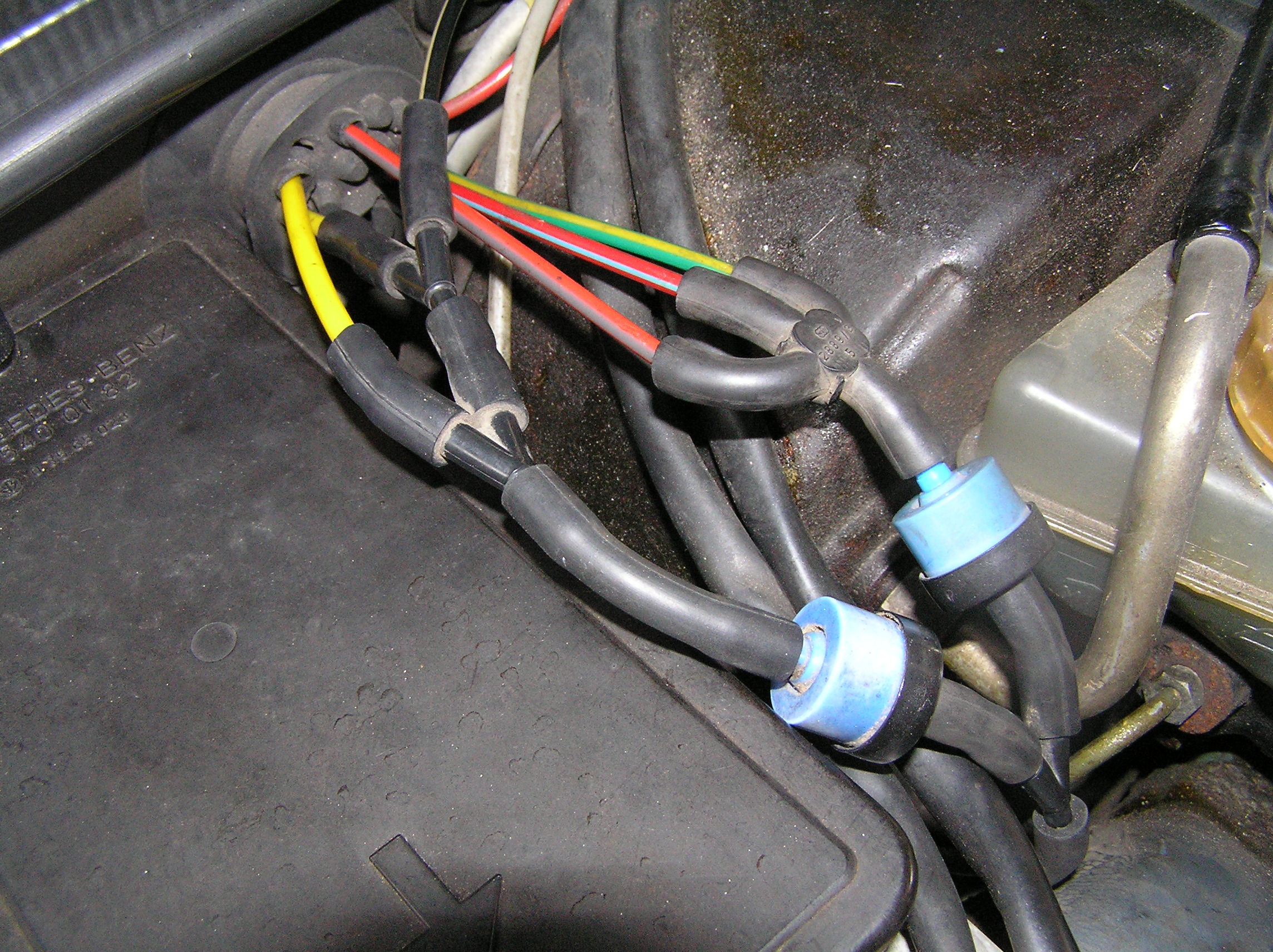 Gleaming Beauty Restoration 153.jpg